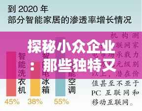 探秘小众企业：那些独特又热门的名称解析