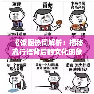 《饭圈热词解析:揭秘流行语背后的文化现象》