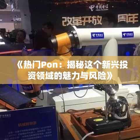 《热门Pon:揭秘这个新兴投资领域的魅力与风险》