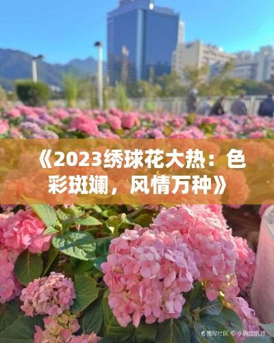 《2023绣球花大热:色彩斑斓,风情万种》