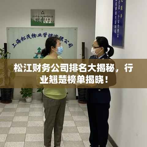 松江财务公司排名大揭秘，行业翘楚榜单揭晓！
