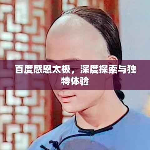 百度感恩太极，深度探索与独特体验