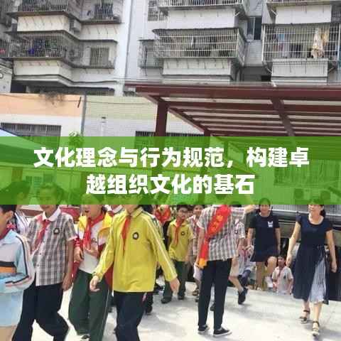 文化理念与行为规范,构建卓越组织文化的基石