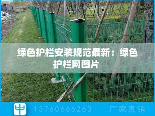 绿色护栏安装规范最新:绿色护栏网图片