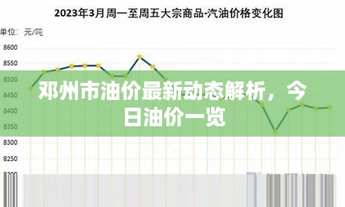 邓州市油价最新动态解析,今日油价一览