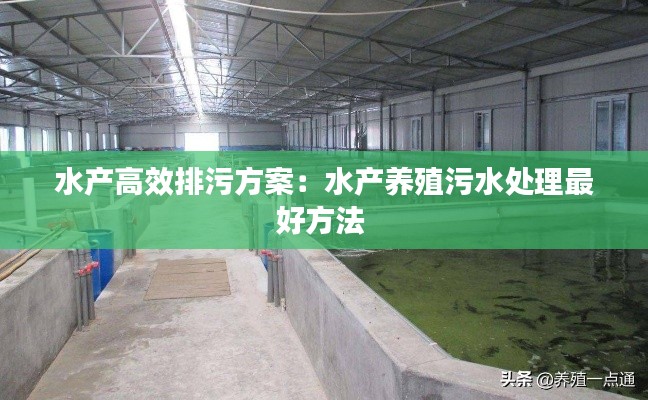 水产高效排污方案:水产养殖污水处理最好方法
