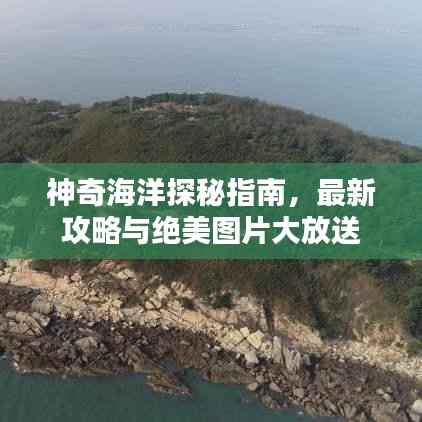 神奇海洋探秘指南，最新攻略与绝美图片大放送