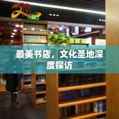最美书店,文化圣地深度探访