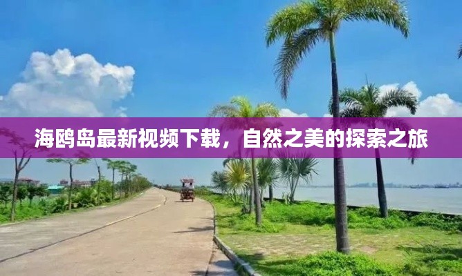 海鸥岛最新视频下载,自然之美的探索之旅