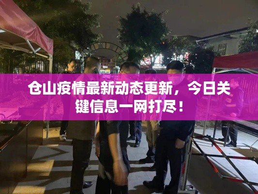仓山疫情最新动态更新,今日关键信息一网打尽!