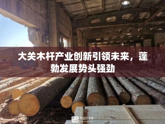 大关木杆产业创新引领未来,蓬勃发展势头强劲
