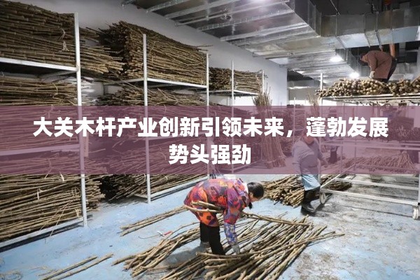 大关木杆产业创新引领未来,蓬勃发展势头强劲