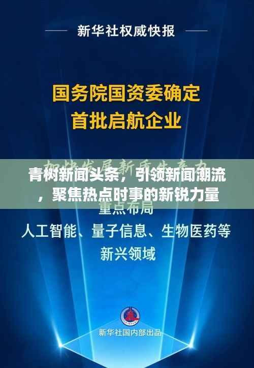 青树新闻头条,引领新闻潮流,聚焦热点时事的新锐力量