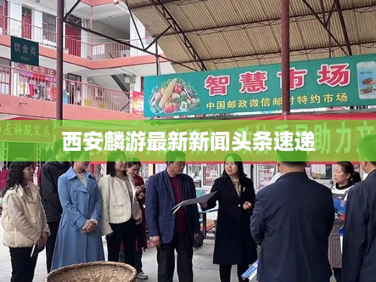 西安麟游最新新闻头条速递