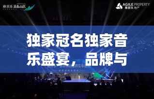 独家冠名独家音乐盛宴,品牌与音乐的完美融合之旅