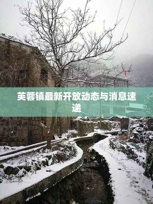 芙蓉镇最新开放动态与消息速递