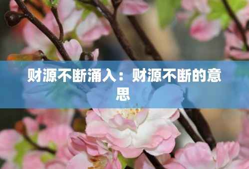 财源不断涌入:财源不断的意思