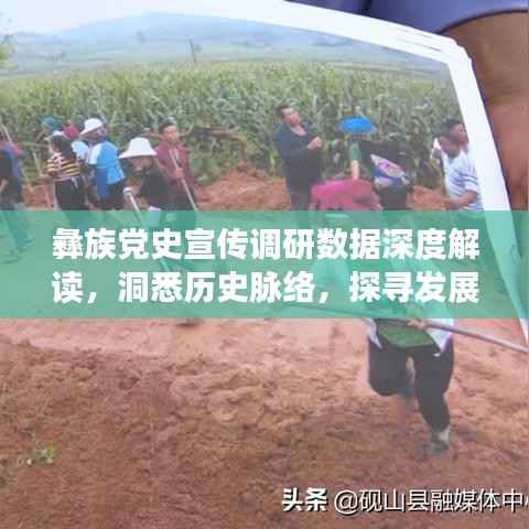 彝族党史宣传调研数据深度解读，洞悉历史脉络，探寻发展轨迹