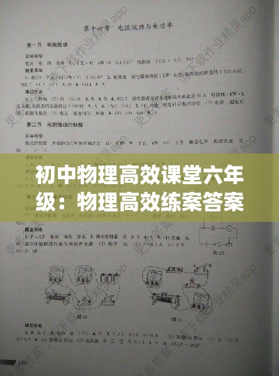 初中物理高效课堂六年级：物理高效练案答案2021 