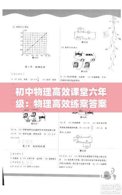 初中物理高效课堂六年级:物理高效练案答案2021