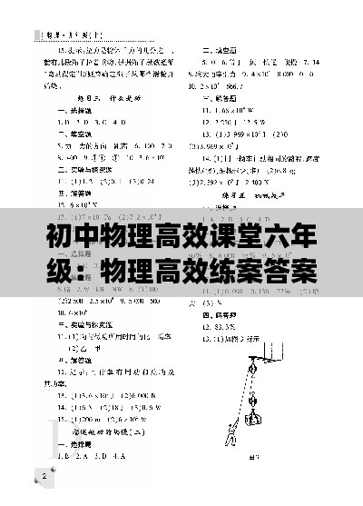 初中物理高效课堂六年级:物理高效练案答案2021