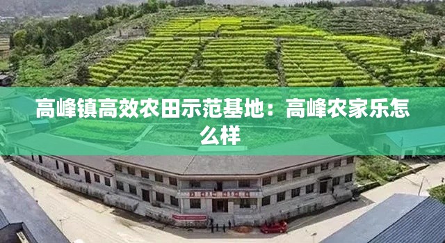 高峰镇高效农田示范基地:高峰农家乐怎么样