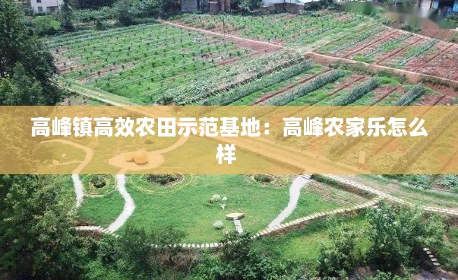 高峰镇高效农田示范基地:高峰农家乐怎么样