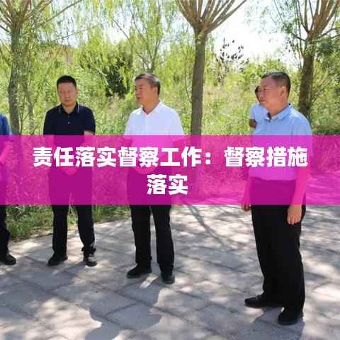 责任落实督察工作:督察措施落实