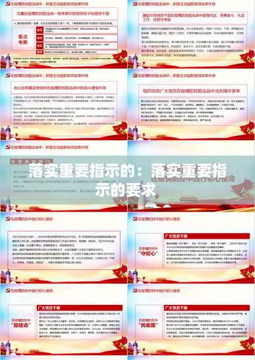 落实重要指示的:落实重要指示的要求