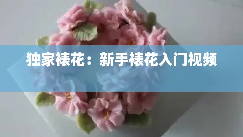 独家裱花：新手裱花入门视频 