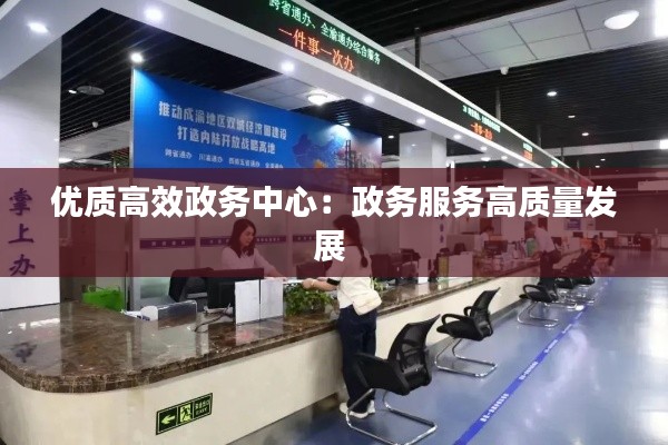 优质高效政务中心:政务服务高质量发展