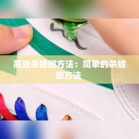 高效杀蟑螂方法:简单的杀蟑螂方法