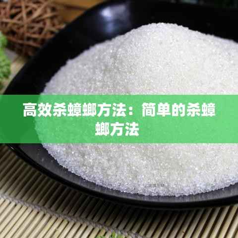 高效杀蟑螂方法:简单的杀蟑螂方法