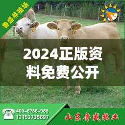 2024正版资料免费公开：猪、牛、马、狗，四肖期期中