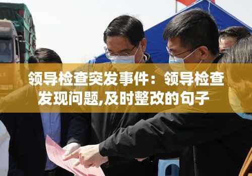 领导检查突发事件:领导检查发现问题,及时整改的句子