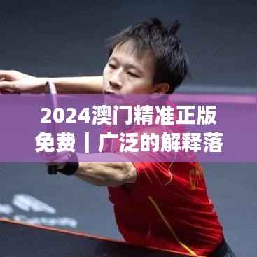 2024澳门精准正版免费|广泛的解释落实方法分析