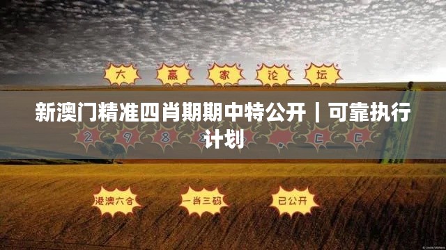 新澳门精准四肖期期中特公开|可靠执行计划