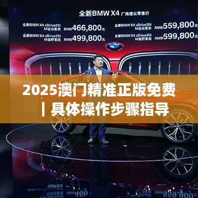 2025澳门精准正版免费｜具体操作步骤指导