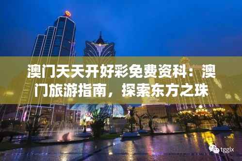 澳门天天开好彩免费资科：澳门旅游指南，探索东方之珠