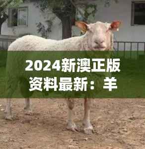 2024新澳正版资料最新：羊、牛、狗、蛇，免费资料