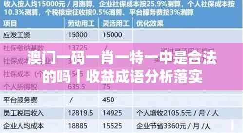 澳门一码一肖一特一中是合法的吗|收益成语分析落实