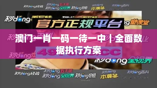 澳门一肖一码一待一中｜全面数据执行方案