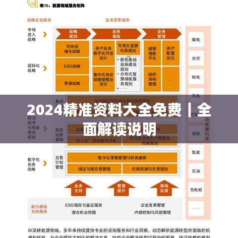 2024精准资料大全免费|全面解读说明
