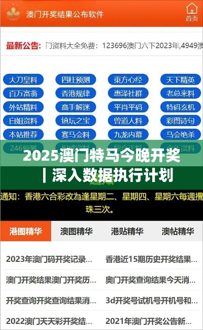 2025澳门特马今晚开奖|深入数据执行计划
