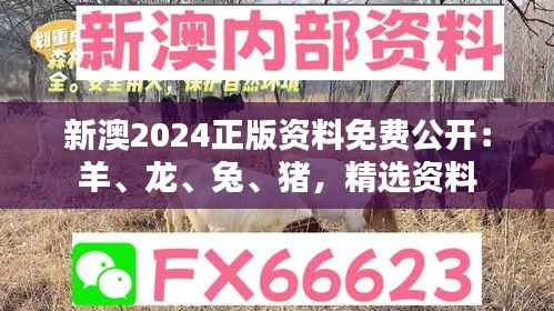 新澳2024正版资料免费公开：羊、龙、兔、猪，精选资料