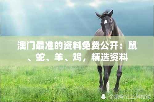澳门最准的资料免费公开:鼠、蛇、羊、鸡,精选资料