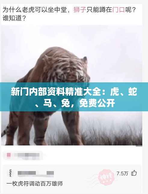 新门内部资料精准大全:虎、蛇、马、兔,免费公开