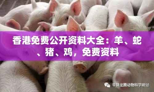 香港免费公开资料大全:羊、蛇、猪、鸡,免费资料