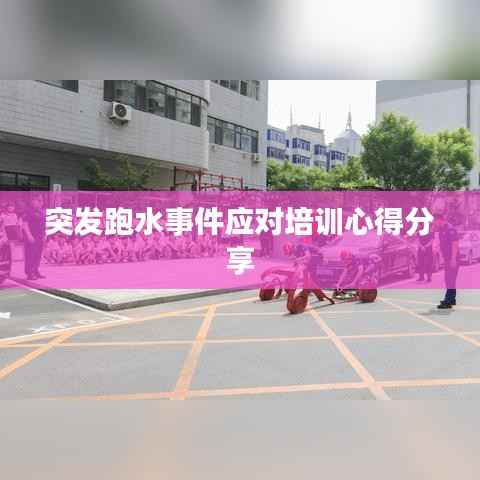 突发跑水事件应对培训心得分享
