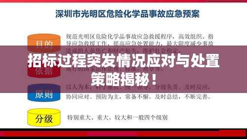 招标过程突发情况应对与处置策略揭秘!